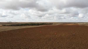 Land and Habitat photo 7
