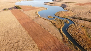 Land and Habitat photo 8