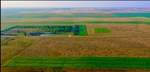 Land and Habitat photo 2